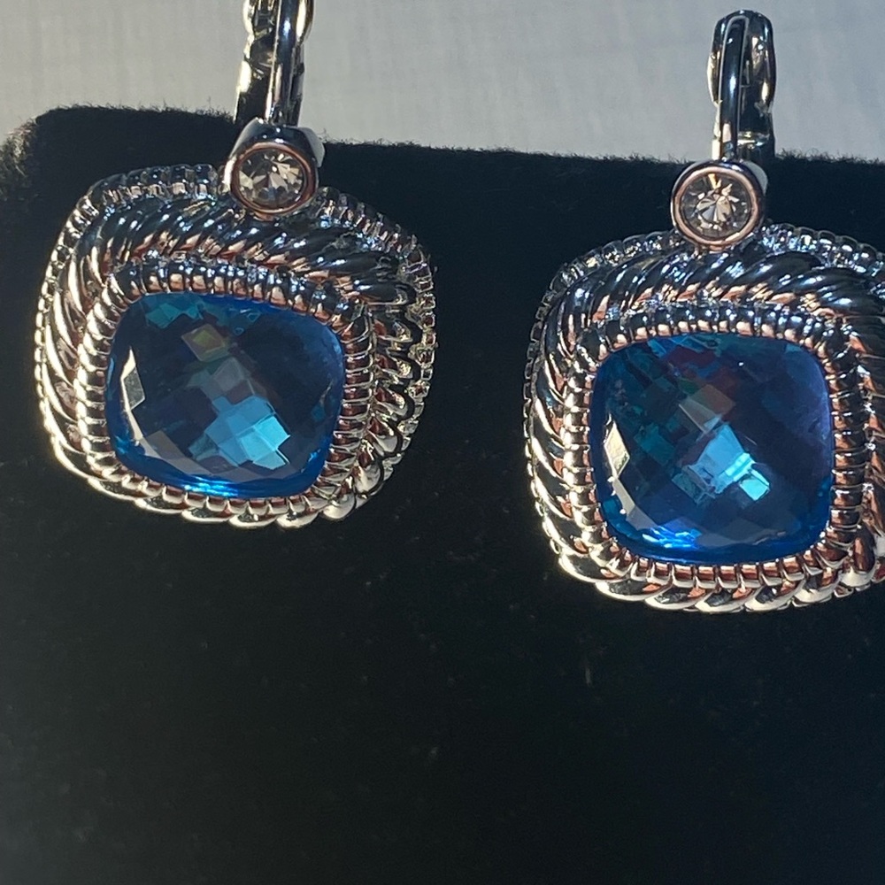 Elegant Joan Rivers Blue and Silver Earrings